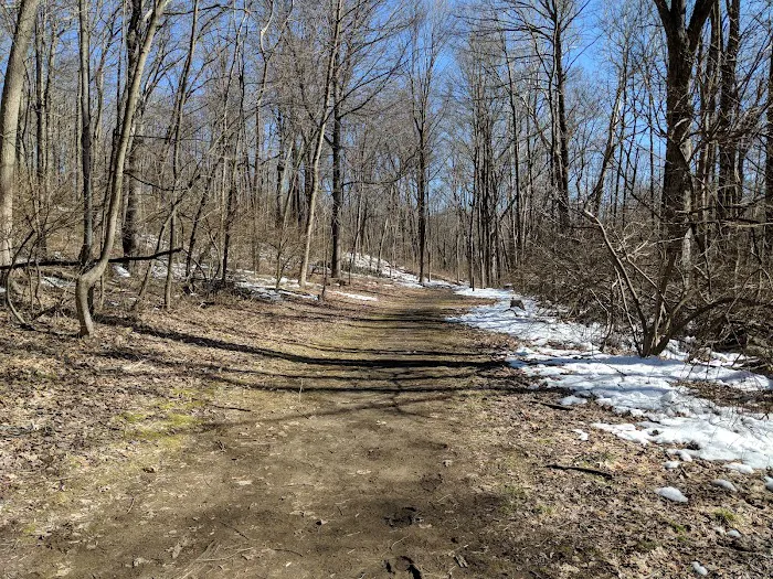 Williams Park Picture 9