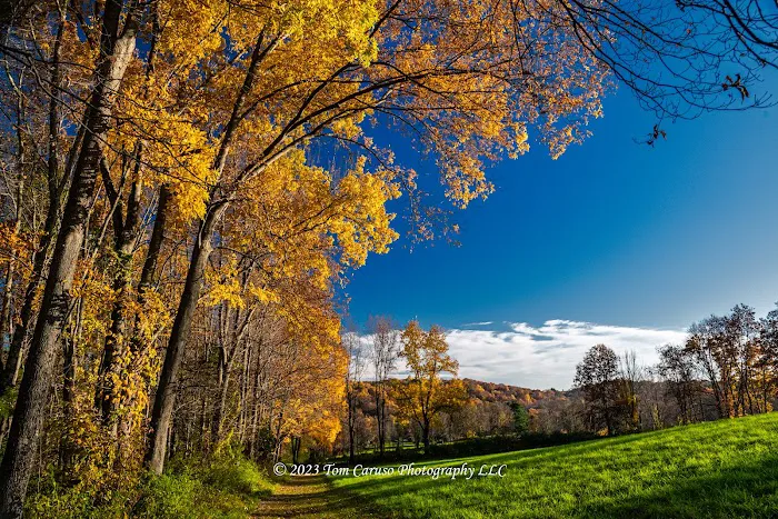 Williams Park Picture 5