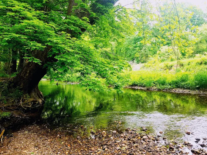 Bent of the River Sanctuary Picture 4
