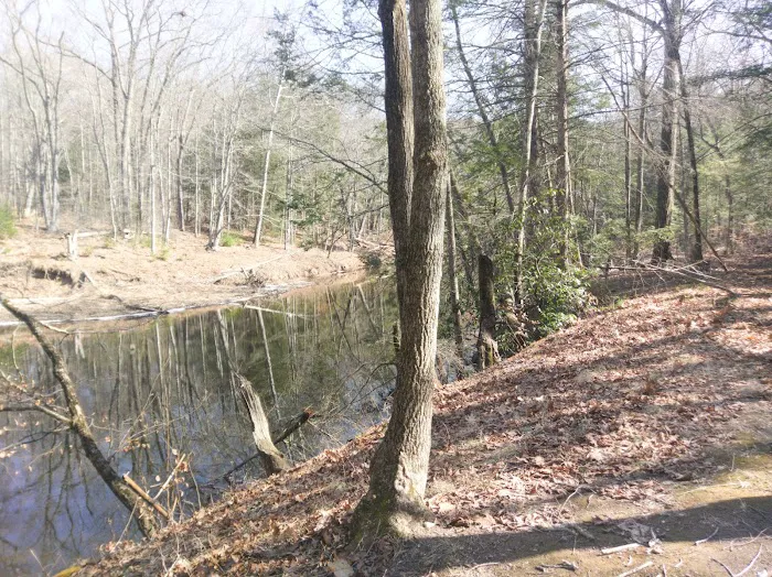 Bent of the River Sanctuary Picture 2