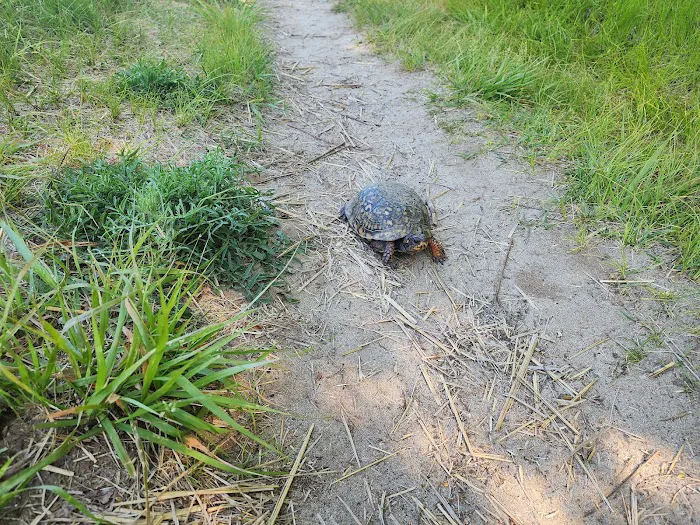 Bent of the River Sanctuary Picture 6