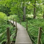 Bent of the River Sanctuary