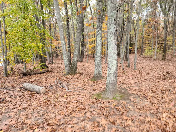 Great Woods Walk Picture 9