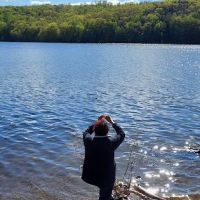 Great Woods Walk ico