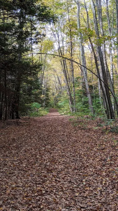 Great Woods Walk Picture 7
