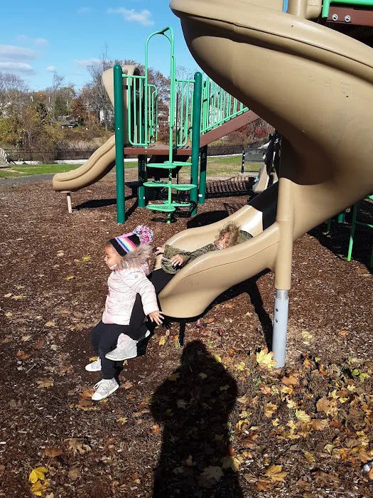 Clover Field/Janosko Park Picture 10