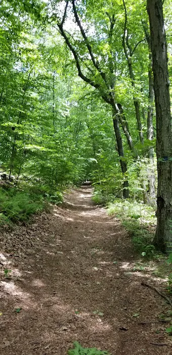 Pumpkin Ground Trail Head Picture 10