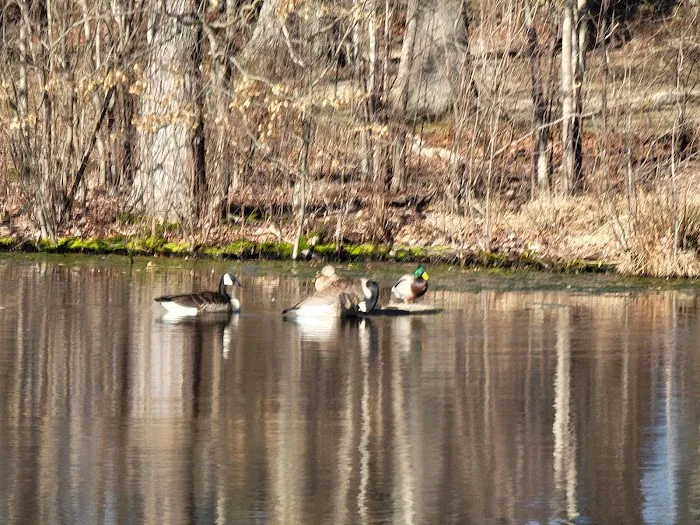 John Chanda Park Picture 1
