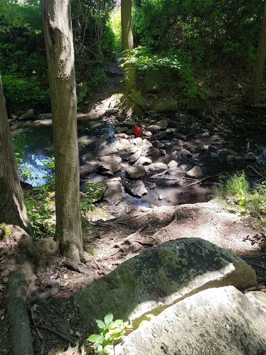 Wooster Park Picture 9
