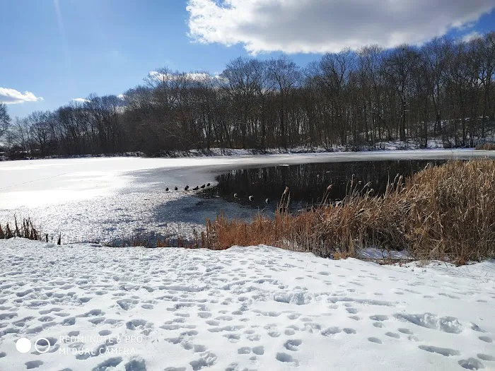 Wooster Park Picture 8