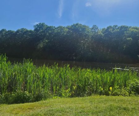 Wooster Park