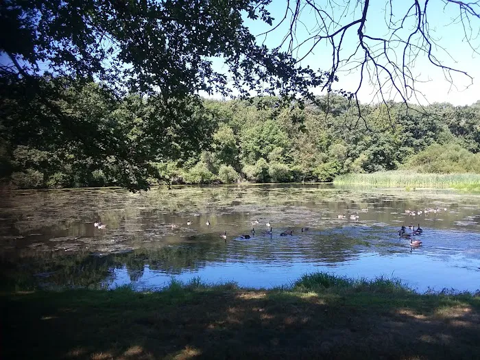 Wooster Park Picture 5