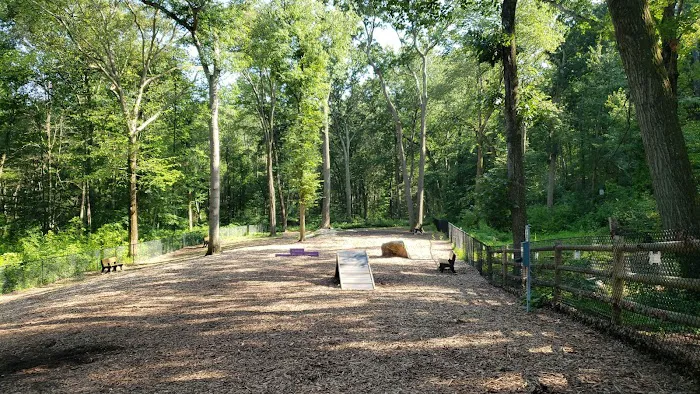 Jared's Dog Park Picture 2