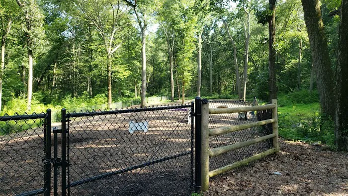 Jared's Dog Park Picture 7