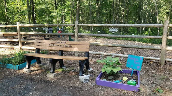 Jared's Dog Park Picture 6