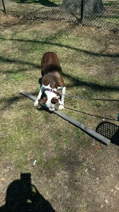 High Park Picture 2
