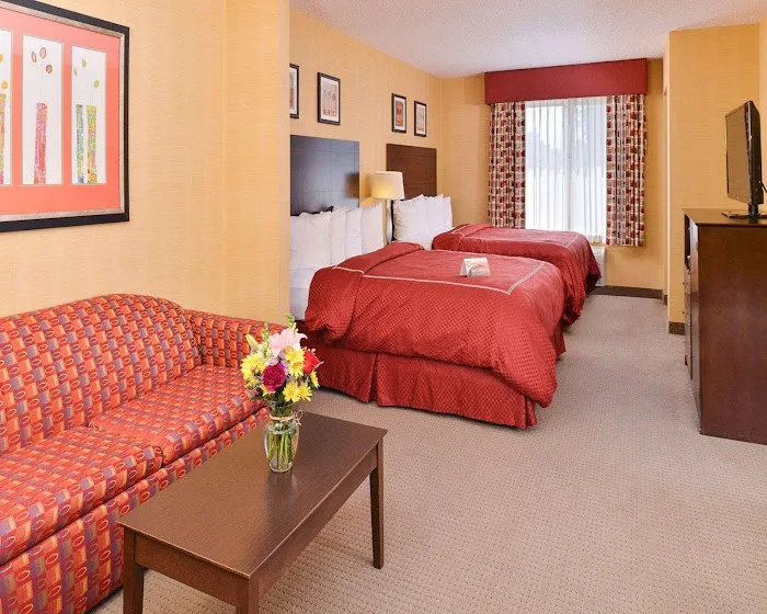 Quality Suites Picture 6
