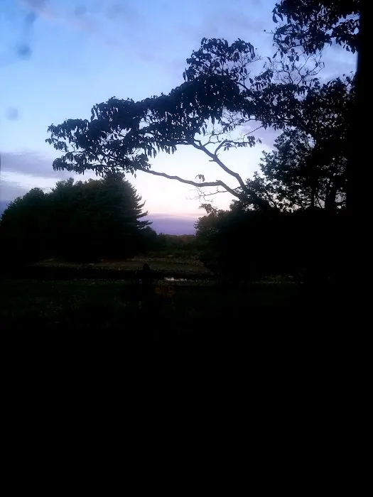 Land Trust LT 3 Picture 4