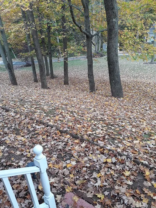 Land Trust LT 3 Picture 5