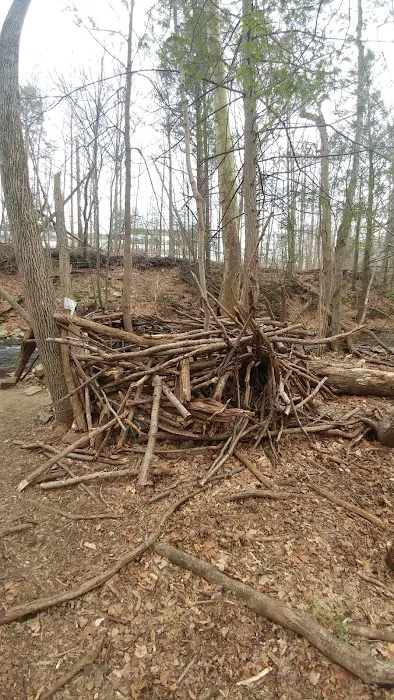 Land Trust LT 3 Picture 9