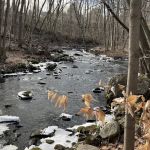 Land Trust Preserve LT4