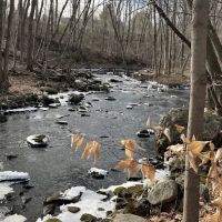 Land Trust Preserve LT4 ico