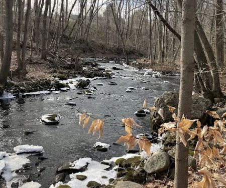 Gristmill Open Space