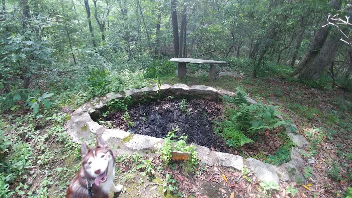 Eklund Garden Picture 1