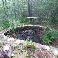 Eklund Garden ico