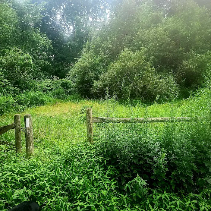 Eklund Garden Picture 4