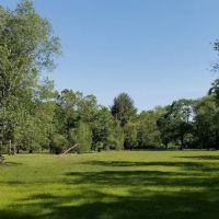 Harrybrooke Park ico