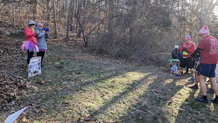 Bridgewater Town Park Picture 5