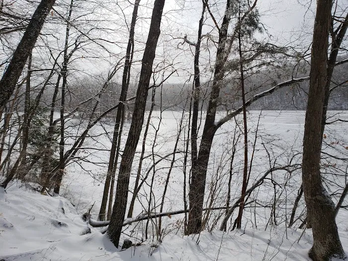 Bridgewater Town Park Picture 10