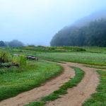 Sunny Valley Preserve