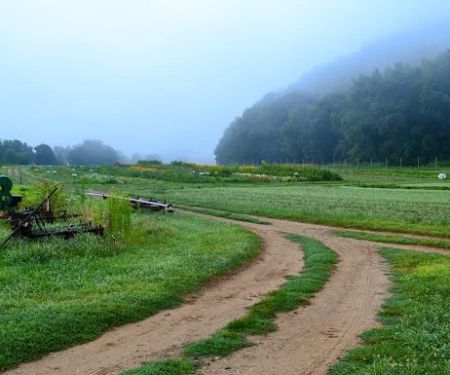 Sunny Valley Preserve