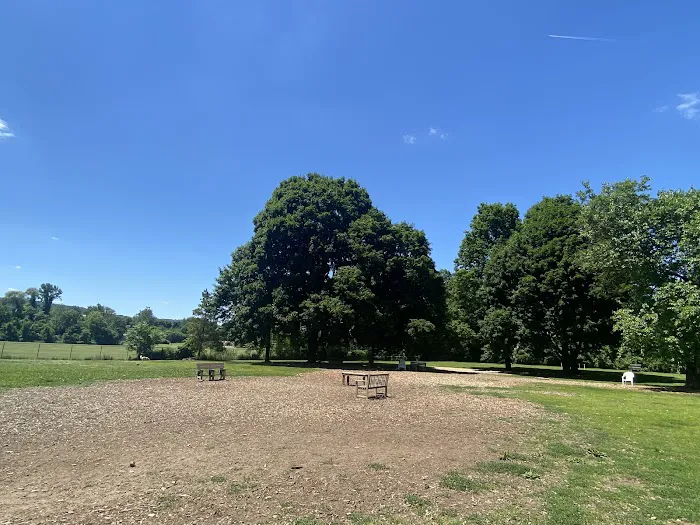 Candlewoof Dog Park Picture 6
