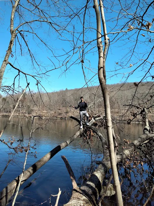Old Bridge Bird Sanctuary Picture 4