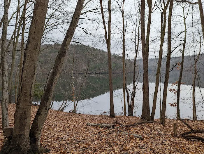 Old Bridge Bird Sanctuary Picture 2