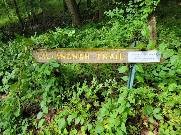 Lillinonah Trail / Blue Trail Picture 1