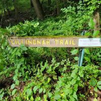 Lillinonah Trail / Blue Trail ico