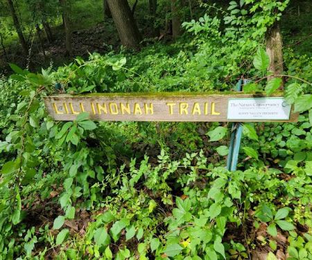 Lillinonah Trail / Blue Trail