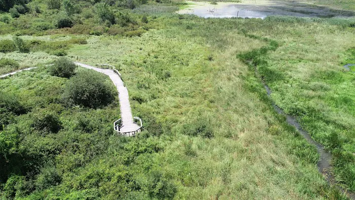 Wimisink Preserve Picture 3
