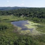 Wimisink Preserve