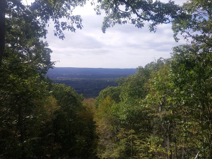 Herrick Trail Preserve Picture 4