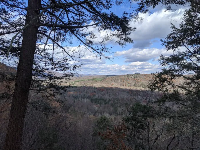 Herrick Trail Preserve Picture 8