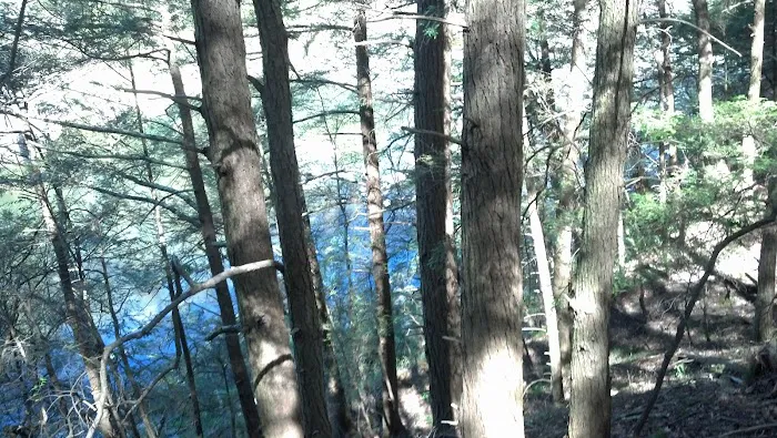 Herrick Trail Preserve Picture 3