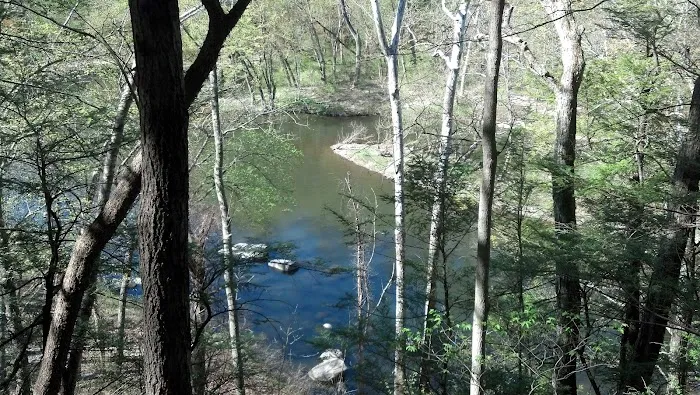 Herrick Trail Preserve Picture 2