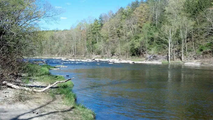 Herrick Trail Preserve Picture 1