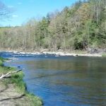 Herrick Trail Preserve