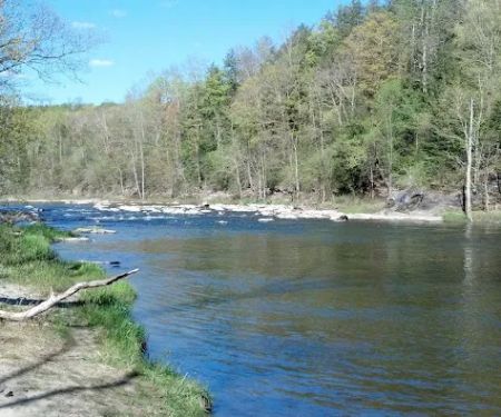 Herrick Trail Preserve